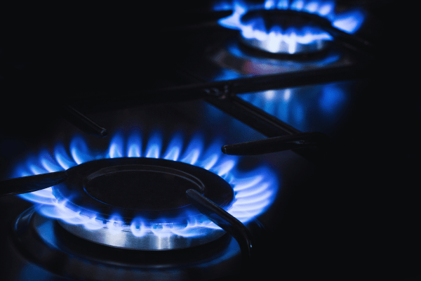 Todo sobre ECOGAS
