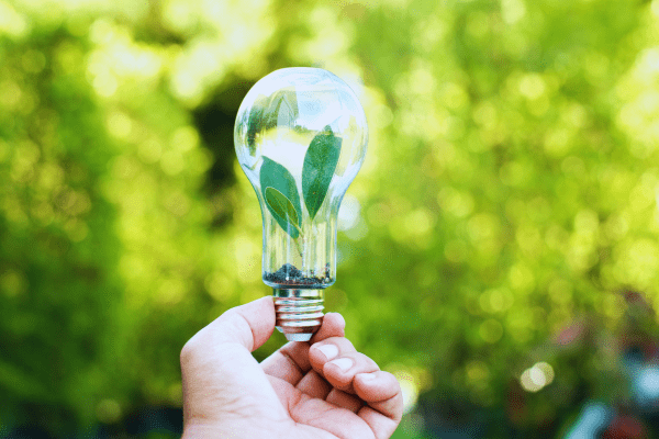 Todo sobre Tu EPEC