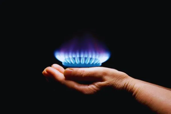 Todo sobre tu Factura Ecogas